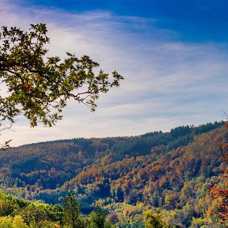 Le Chalet Vresse-sur-Semois Εξωτερικό φωτογραφία